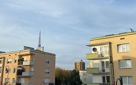 Apartament Celna